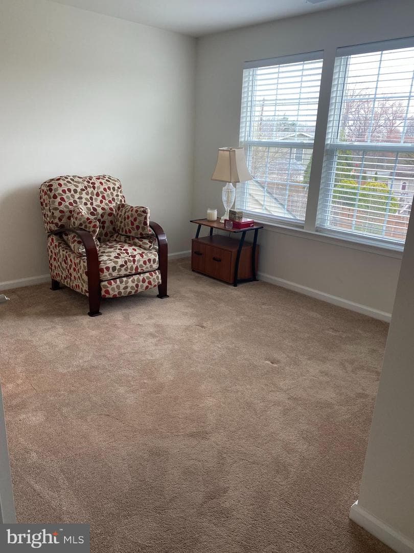 1505 Moore Street #203 photo 15