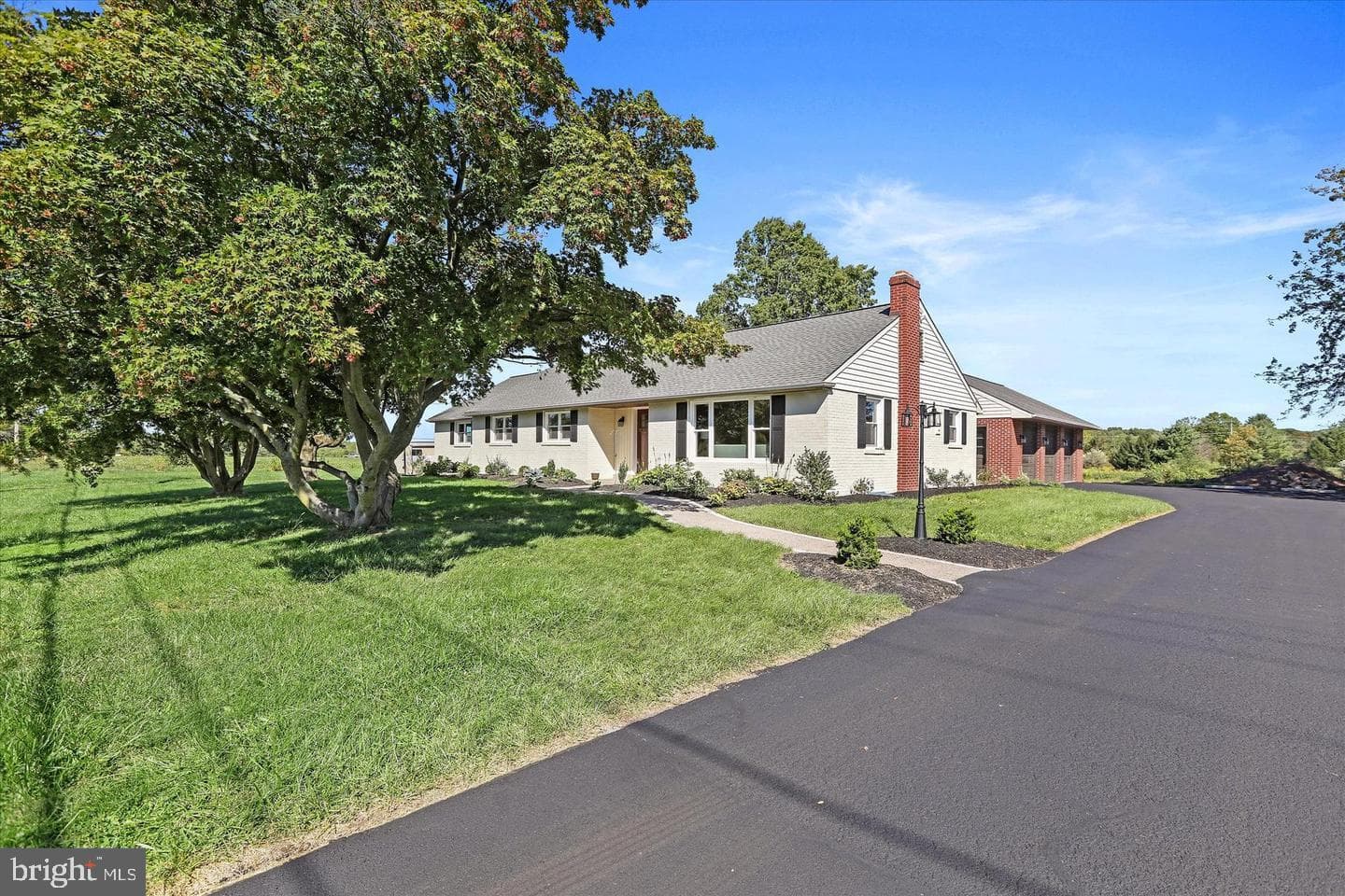 291 Elephant Road