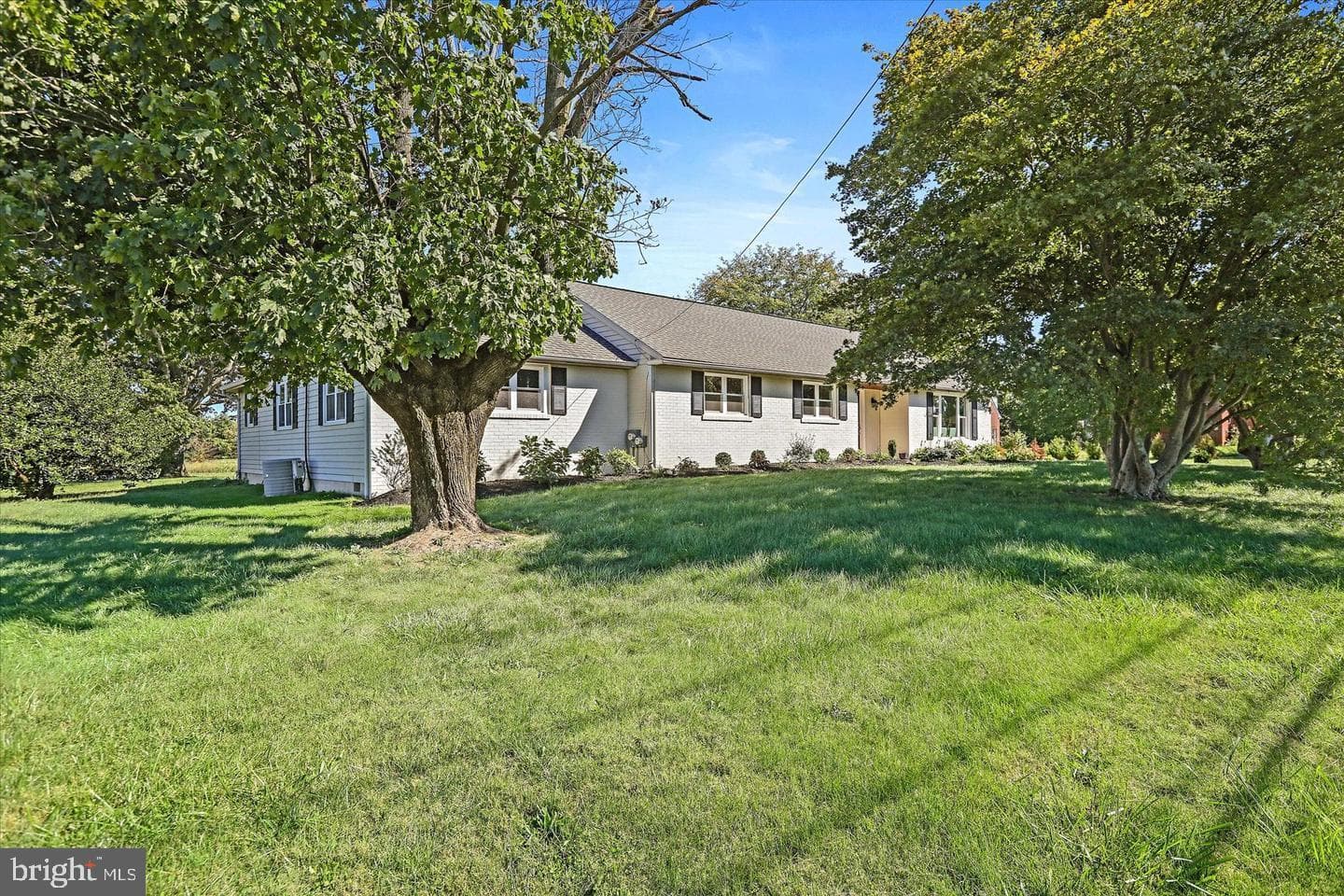 291 Elephant Road photo 2