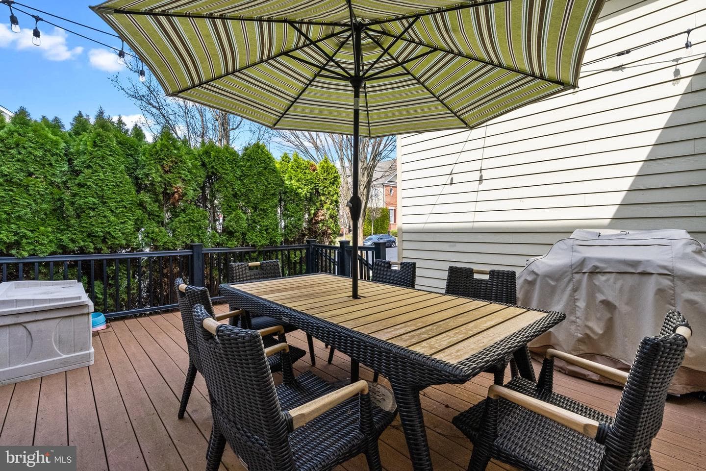 202 Palmer Alley #62 photo 6
