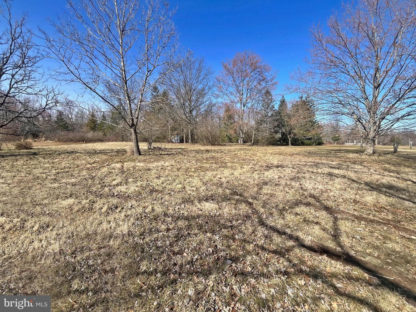 66 Rocky Ridge Road photo 12