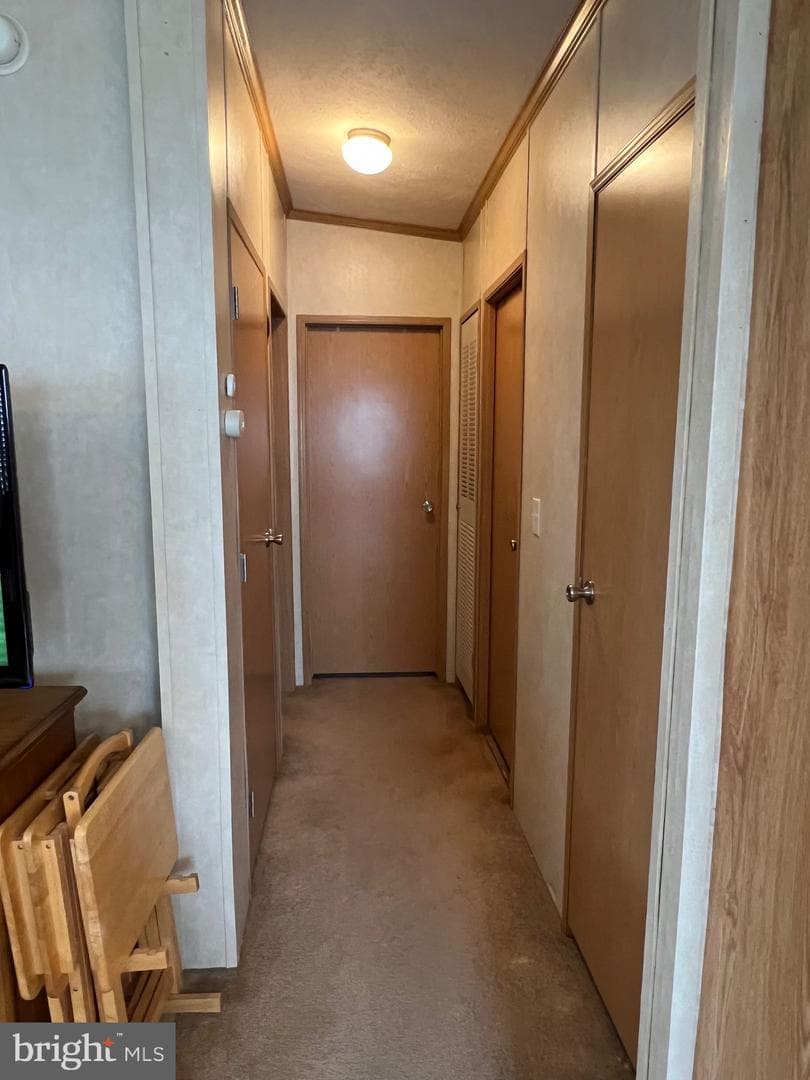 3338 Rose Avenue photo 9