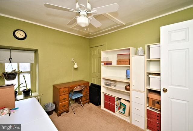 1903 Woodfield Drive photo 83
