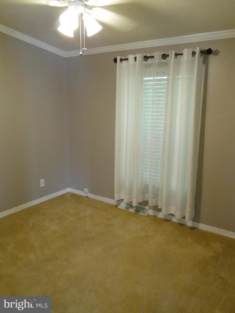 16 Skyview Drive photo 14