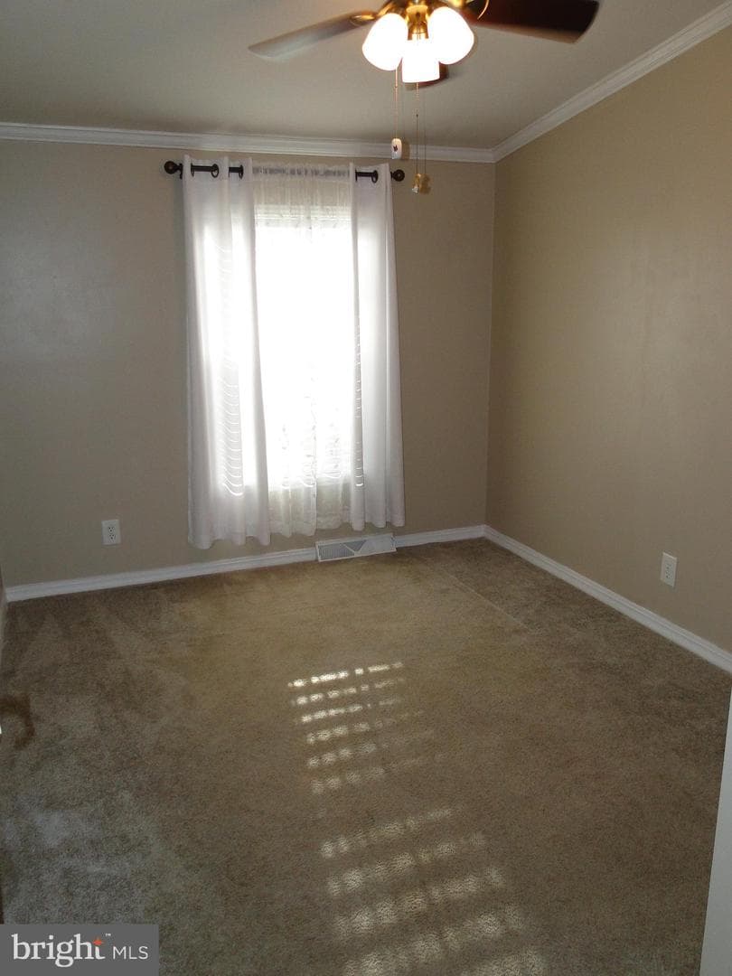 16 Skyview Drive photo 15