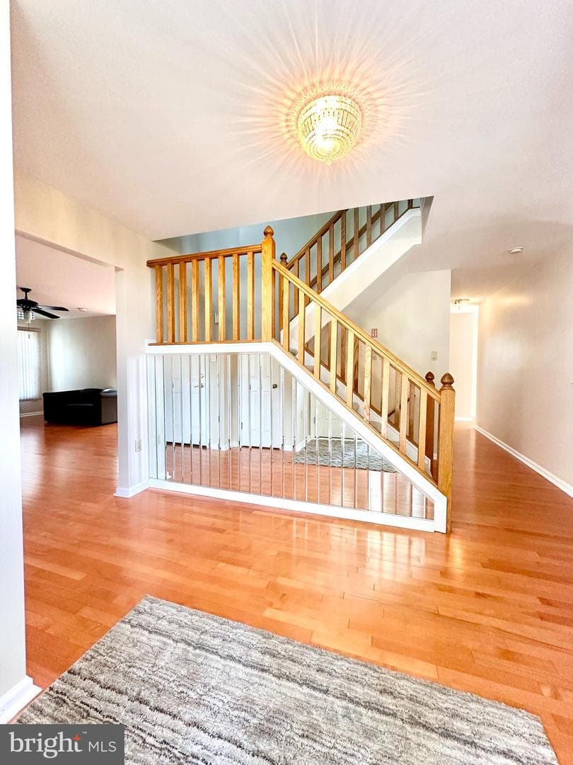 55 W Windrose Drive photo 4