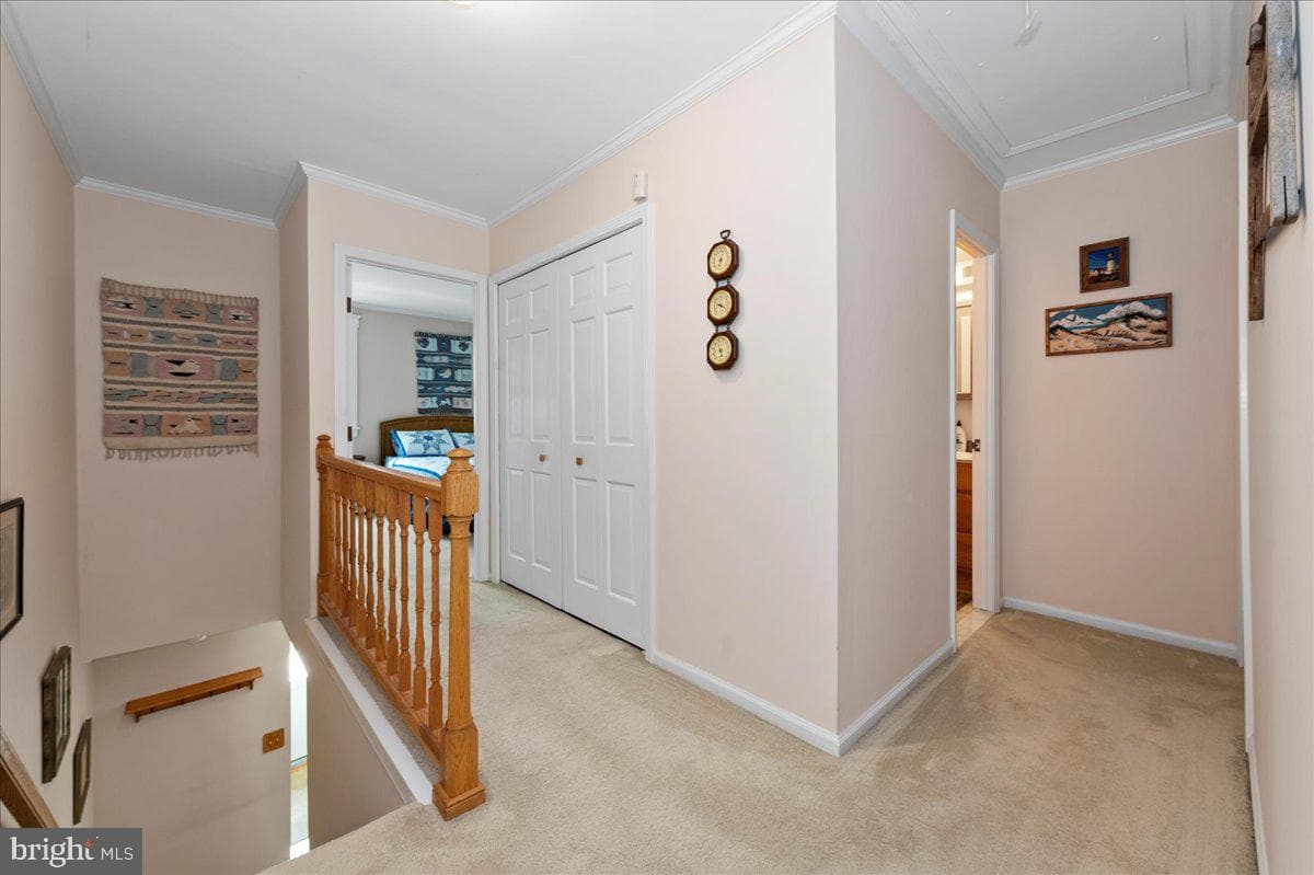 14 Providence Avenue photo 17