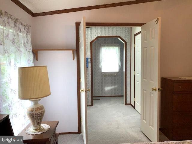 212 Dove Court photo 22