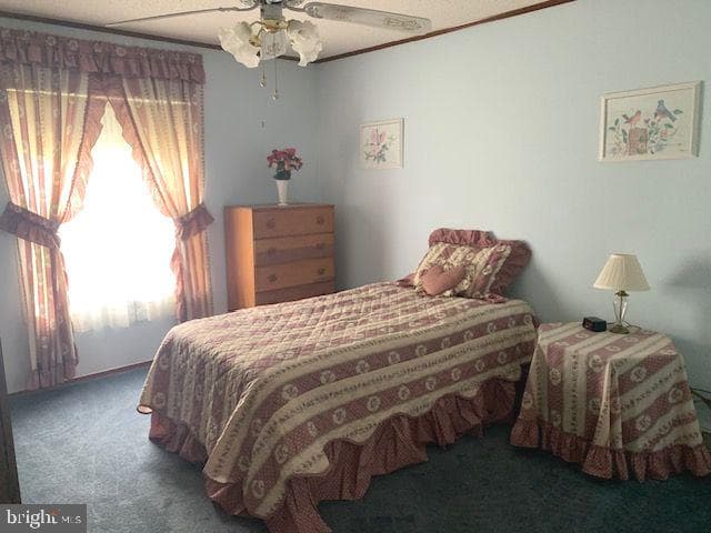 212 Dove Court photo 27