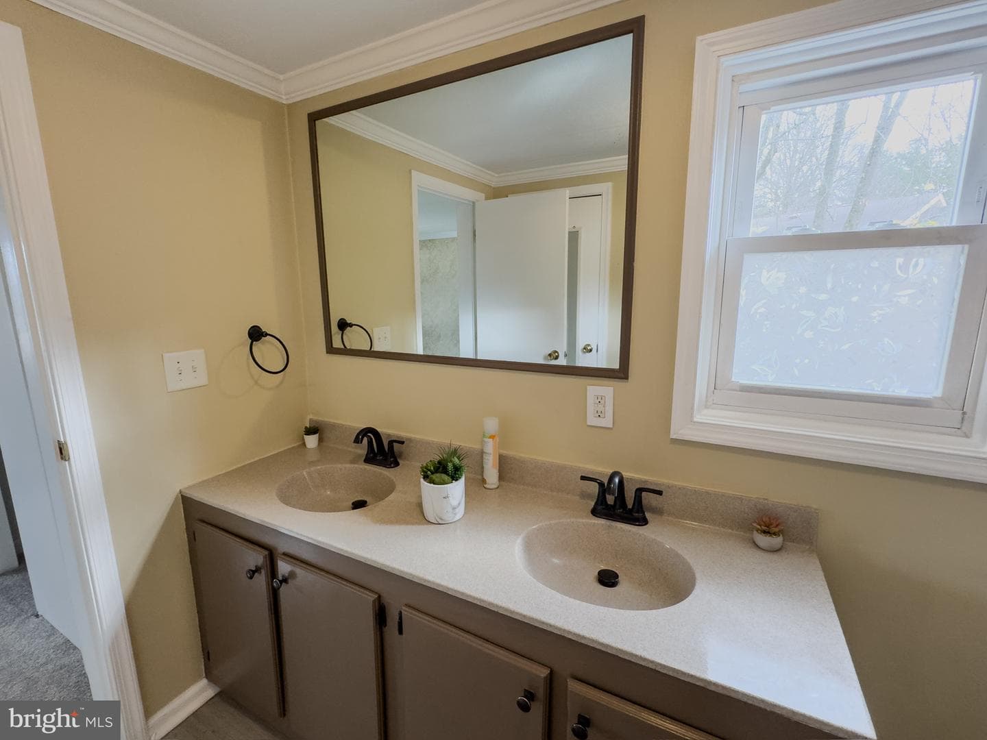 6 Walnut Lane photo 29