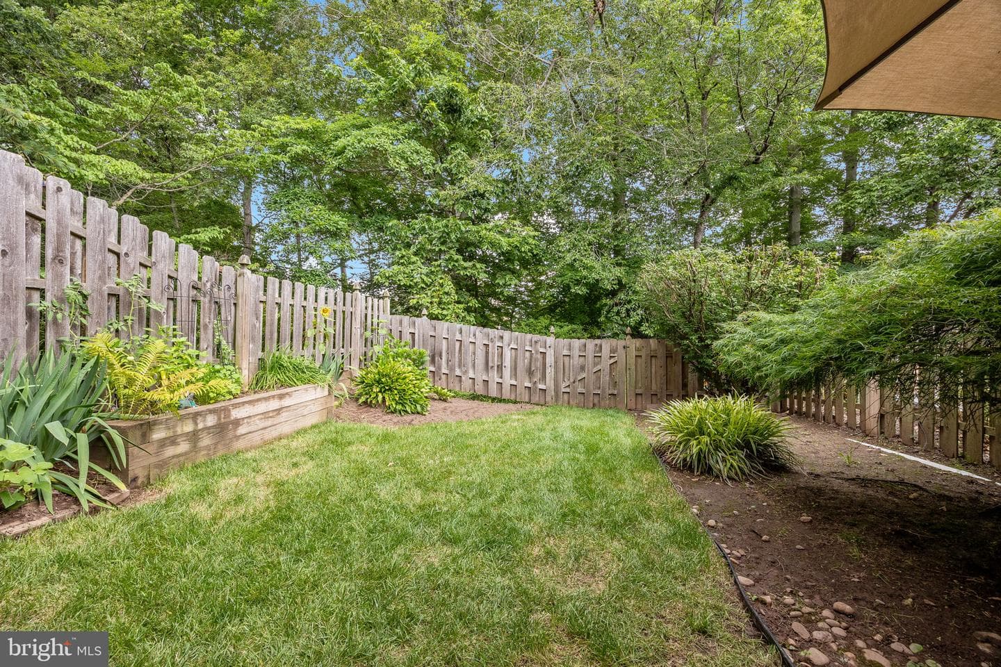 13 Colchester Place photo 32