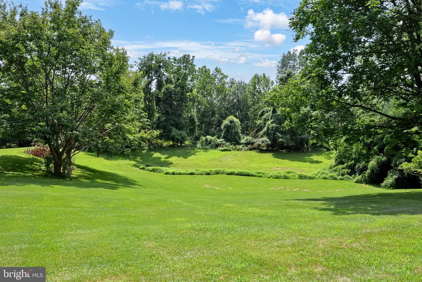 67 Woodland Drive photo 23