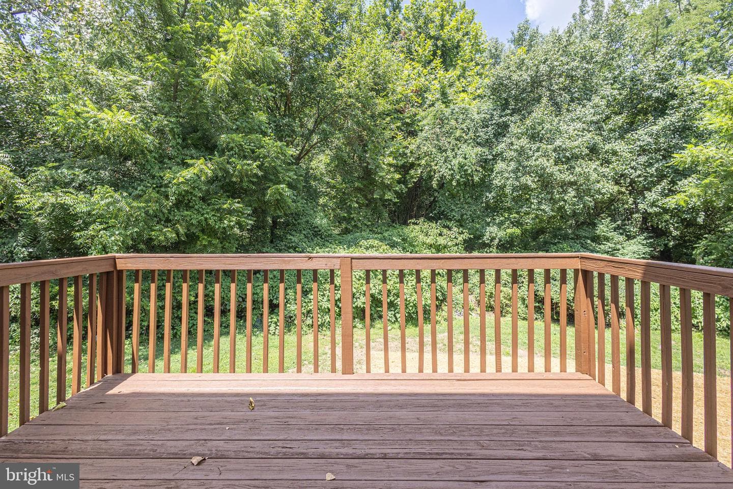 26 Bowling Green Avenue #3 photo 28