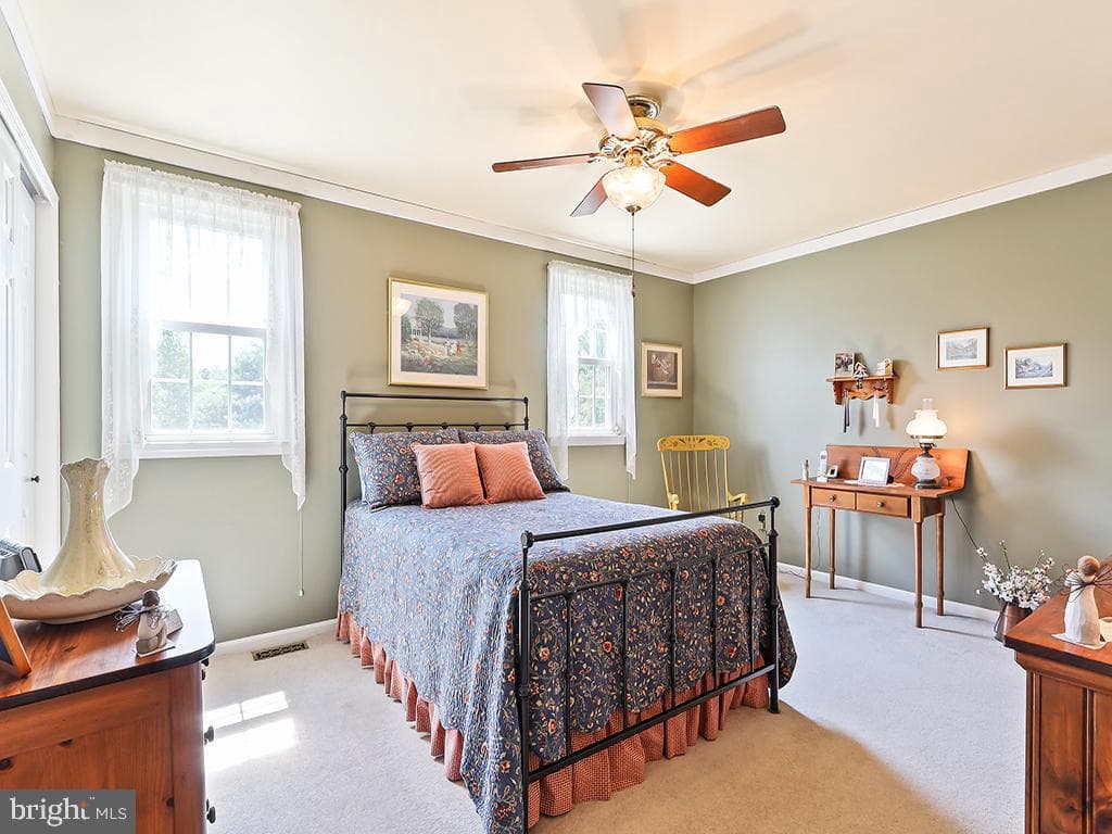 178 Chapel Drive photo 25