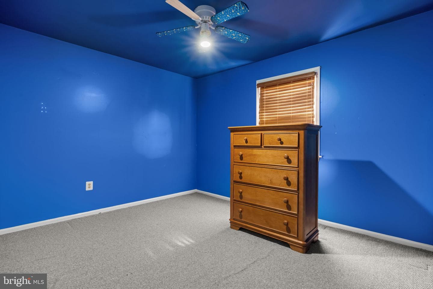 6 Springwood Place photo 29
