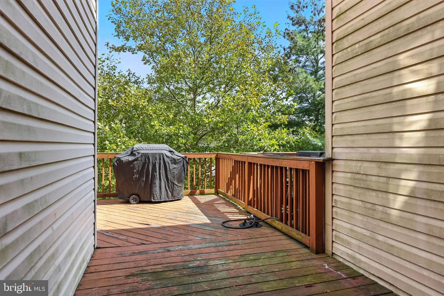 217 Windsor Court photo 31