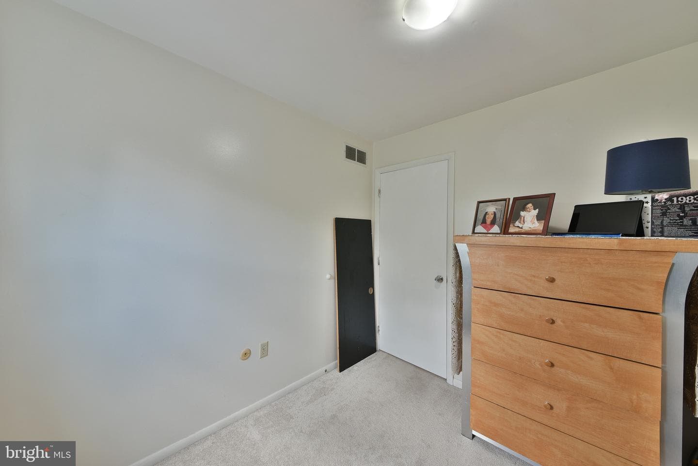 17 Ruhl Drive photo 28