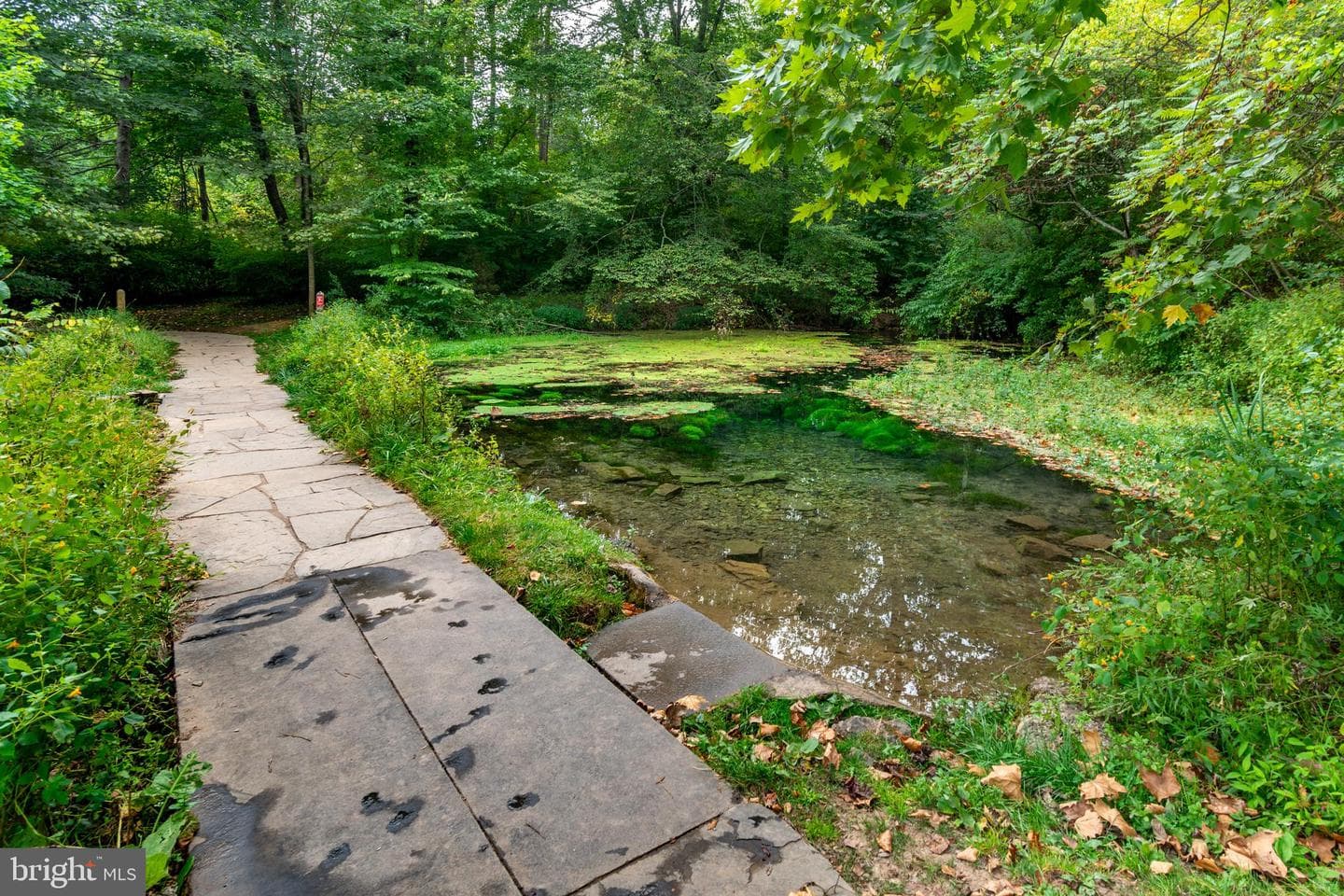 36 Hermitage Drive photo 37