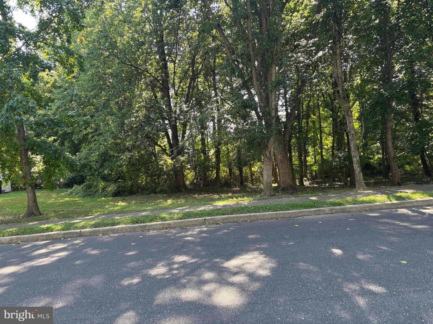 5817 Cricket Lane photo 3