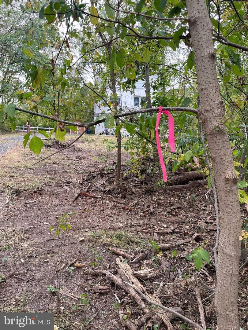 2034 Woodlyn Rd photo 15