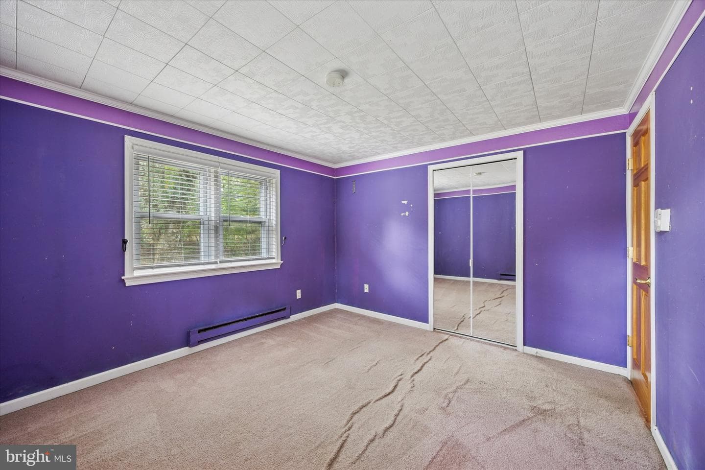 29 Langhorne Avenue photo 19