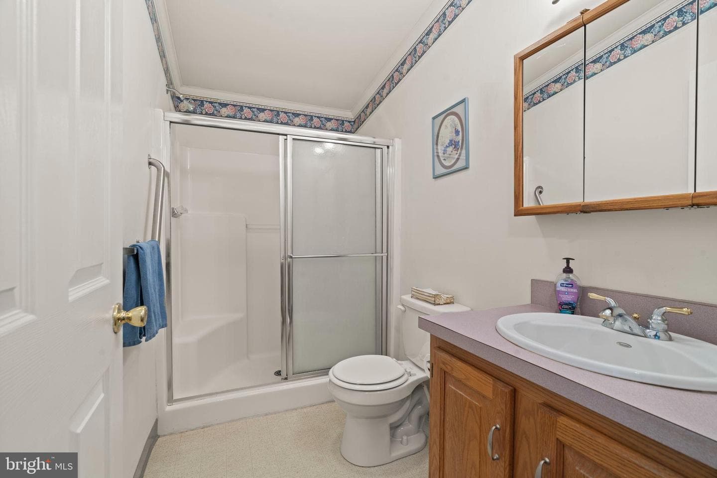 561 Spring Meadow Circle photo 13