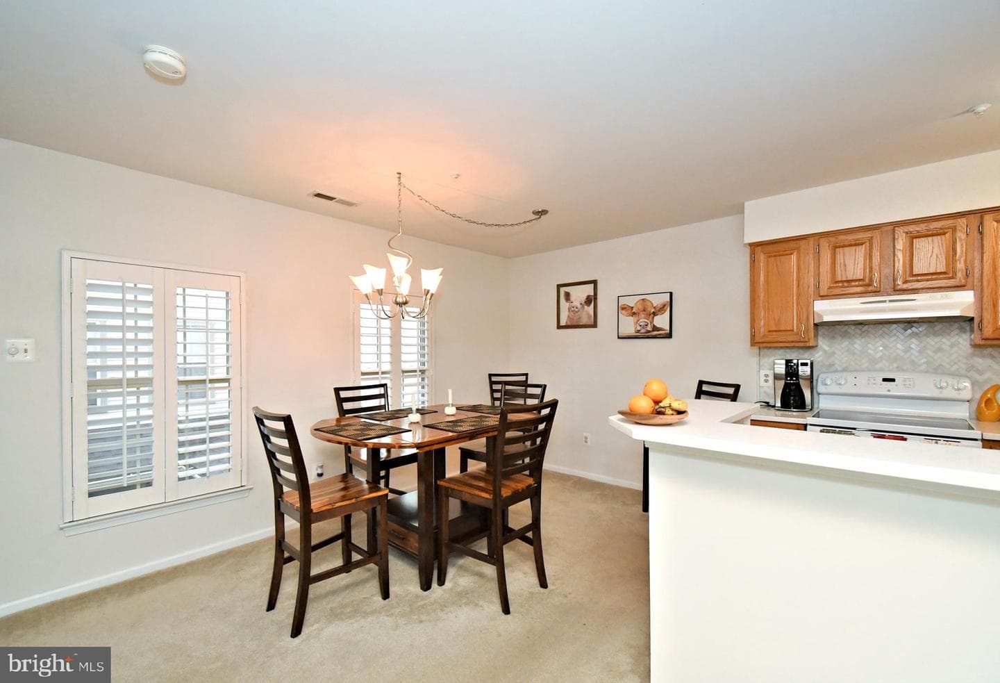 210 Remington Court photo 12