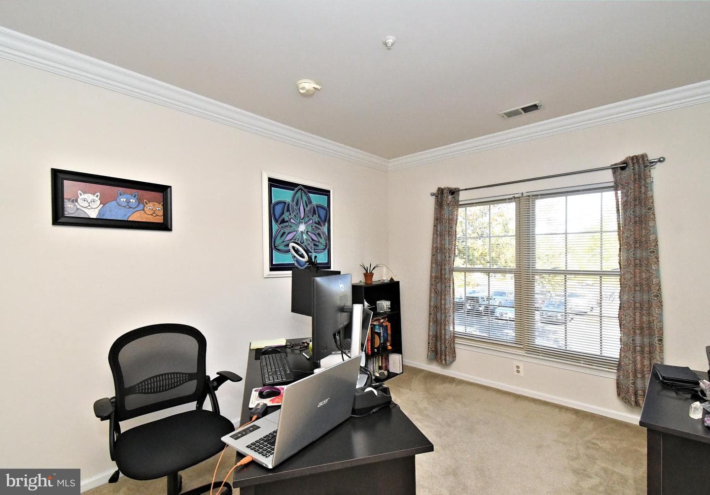 210 Remington Court photo 25