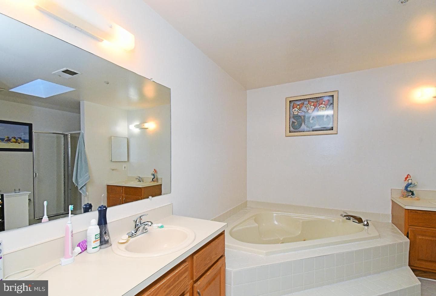 210 Remington Court photo 41