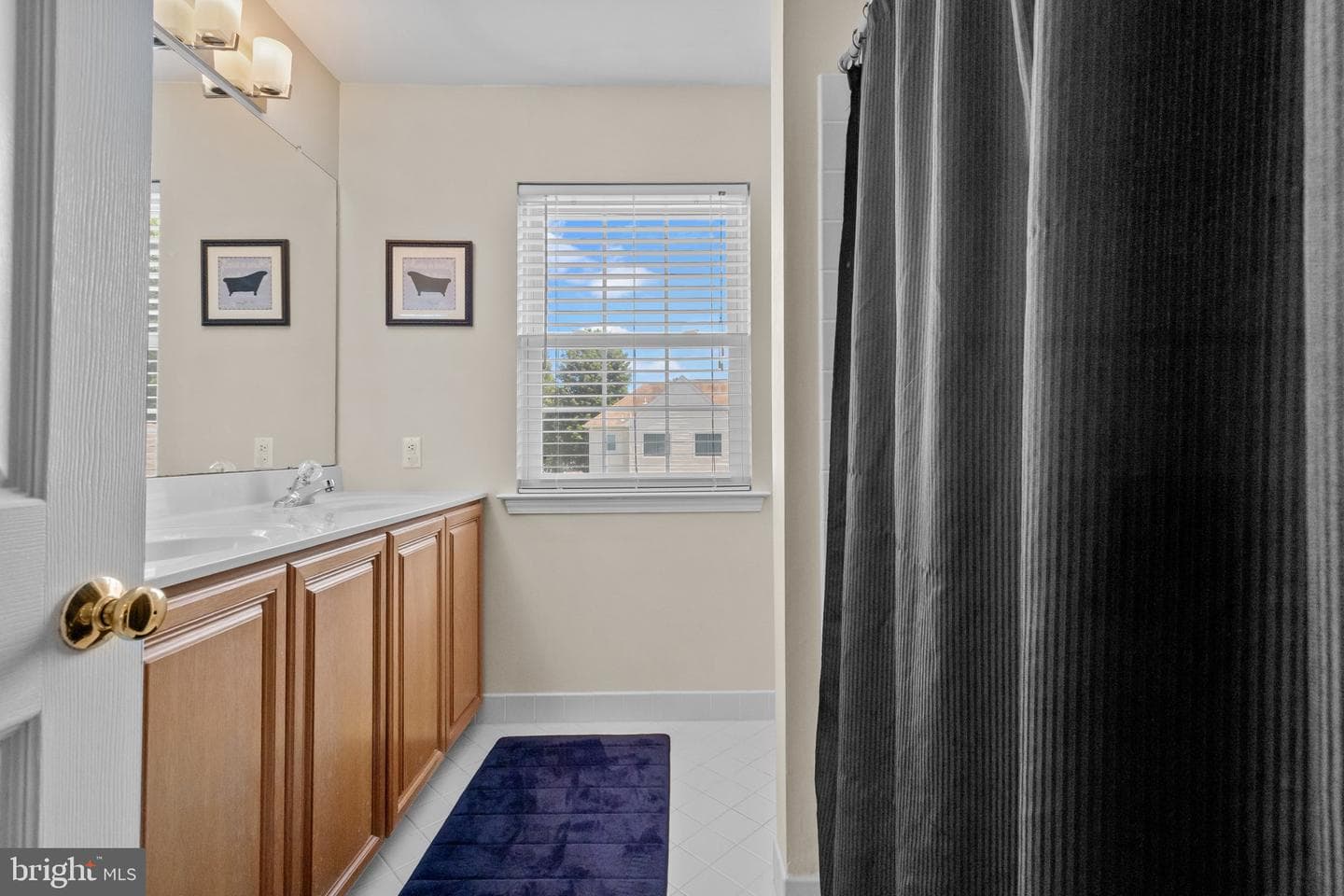 523 Turtle Lane photo 18