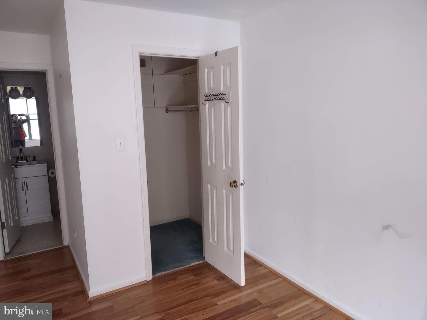 244 Sassafras Court photo 21