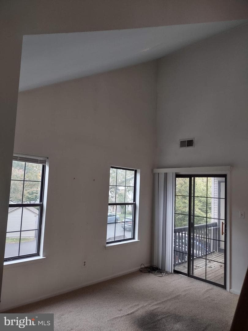 244 Sassafras Court photo 8
