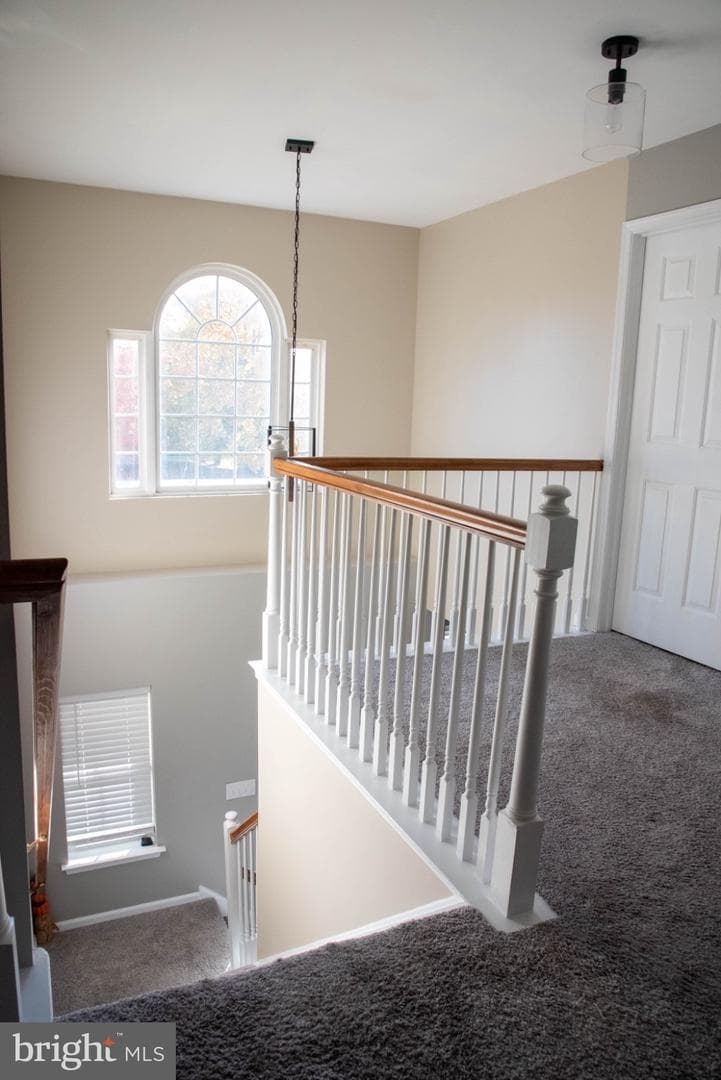 1134 Virginia Way photo 13