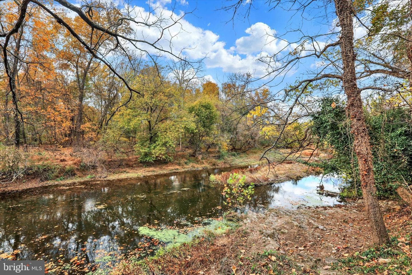 60 Quarry Road photo 7