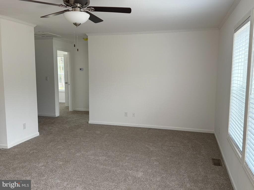 965 Eleanor Lane photo 17