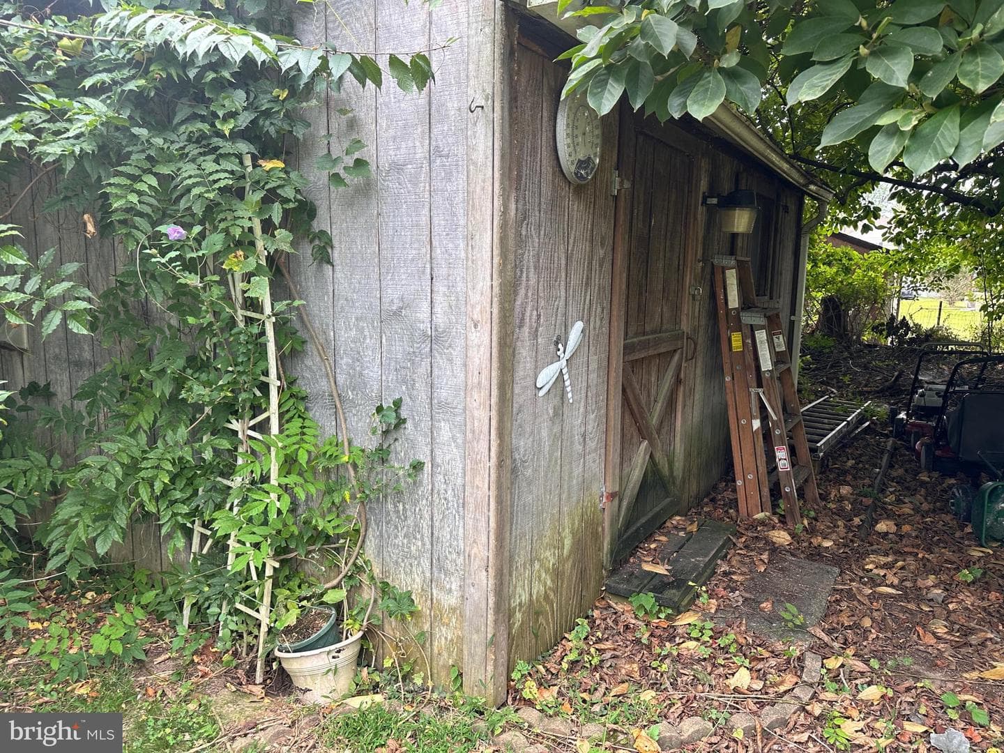 220 Nemoral Street photo 22