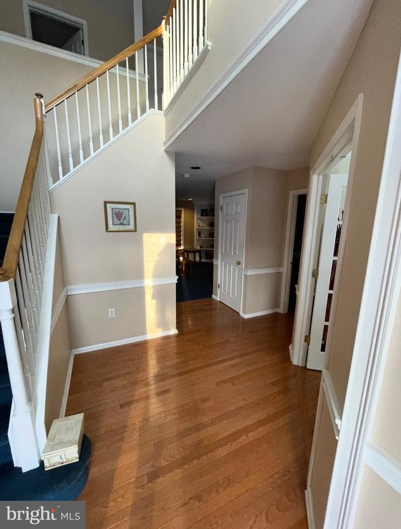 546 Clydesdale Drive photo 29