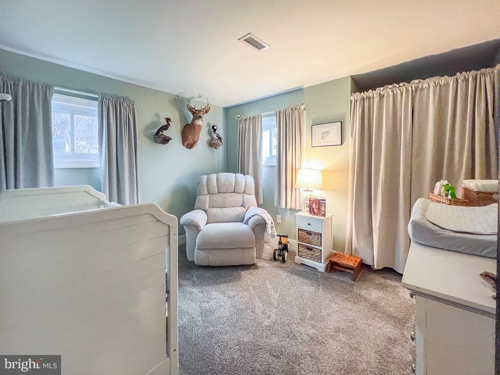 19 Cobalt Ridge Drive N photo 6