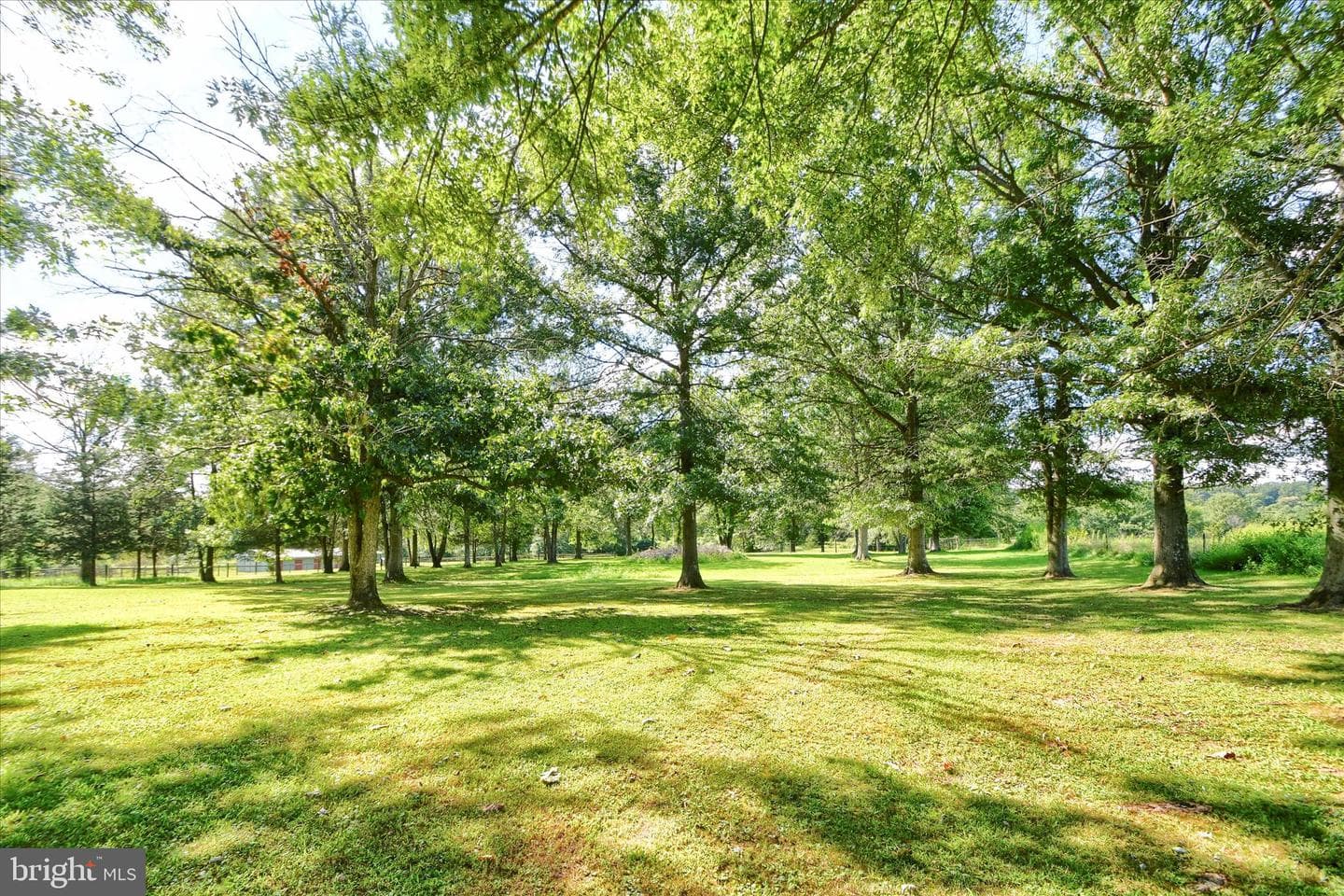 1010 Sweetbriar Road photo 50