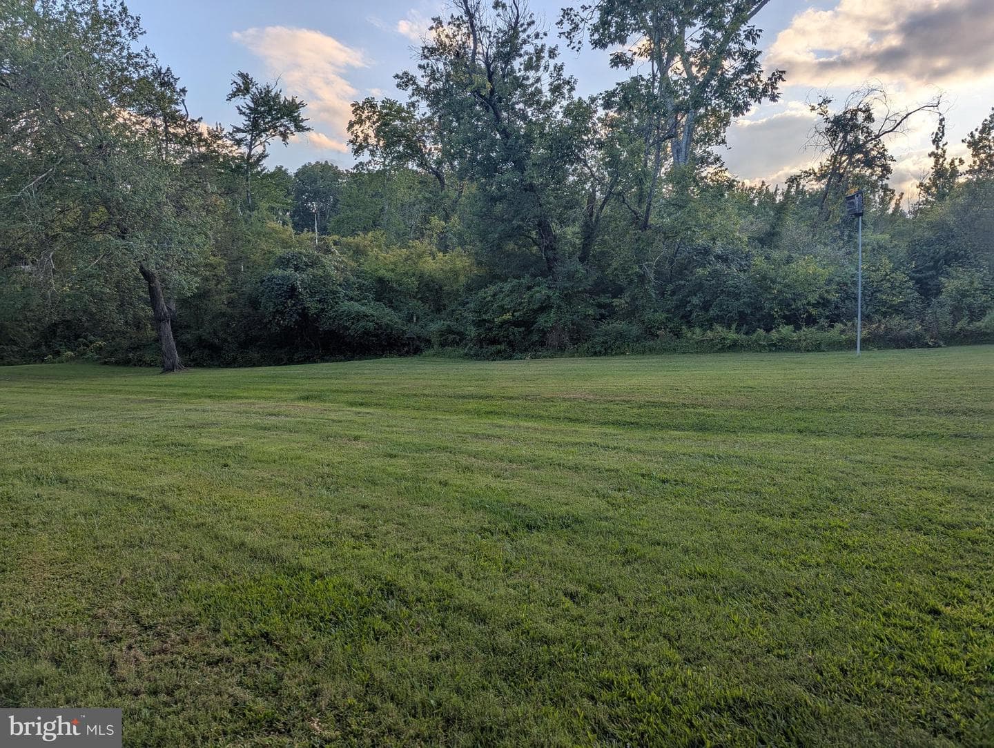 22 Hermitage Drive photo 24