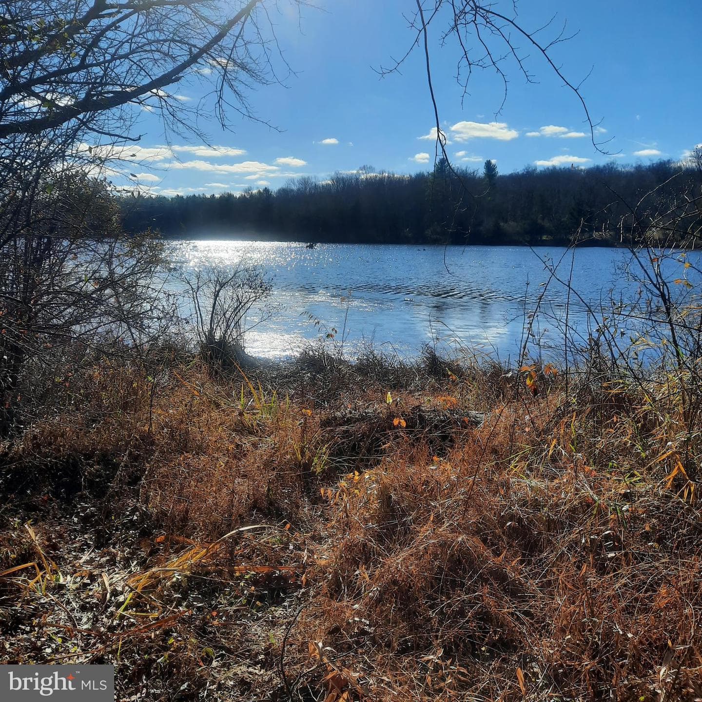 387 Park Drive W photo 2