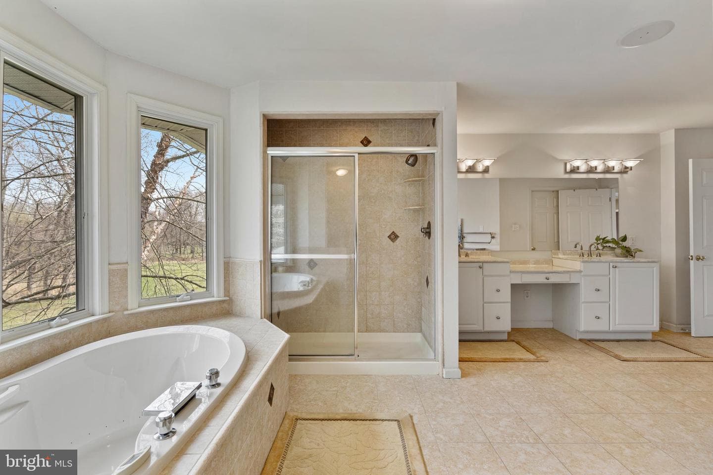 100 E Holland Road photo 26