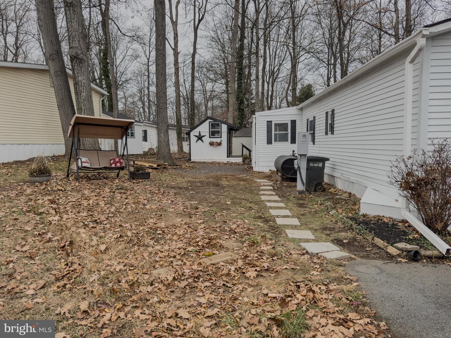 3 Hickory photo 3