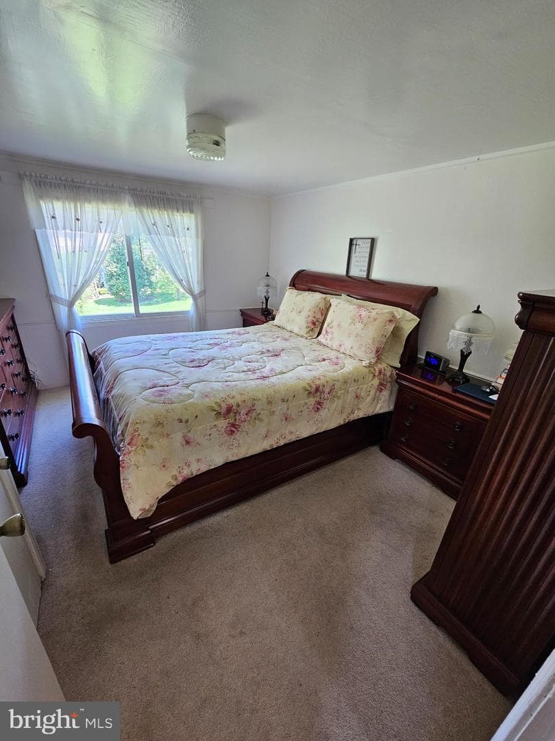 1020 Spur Road photo 10