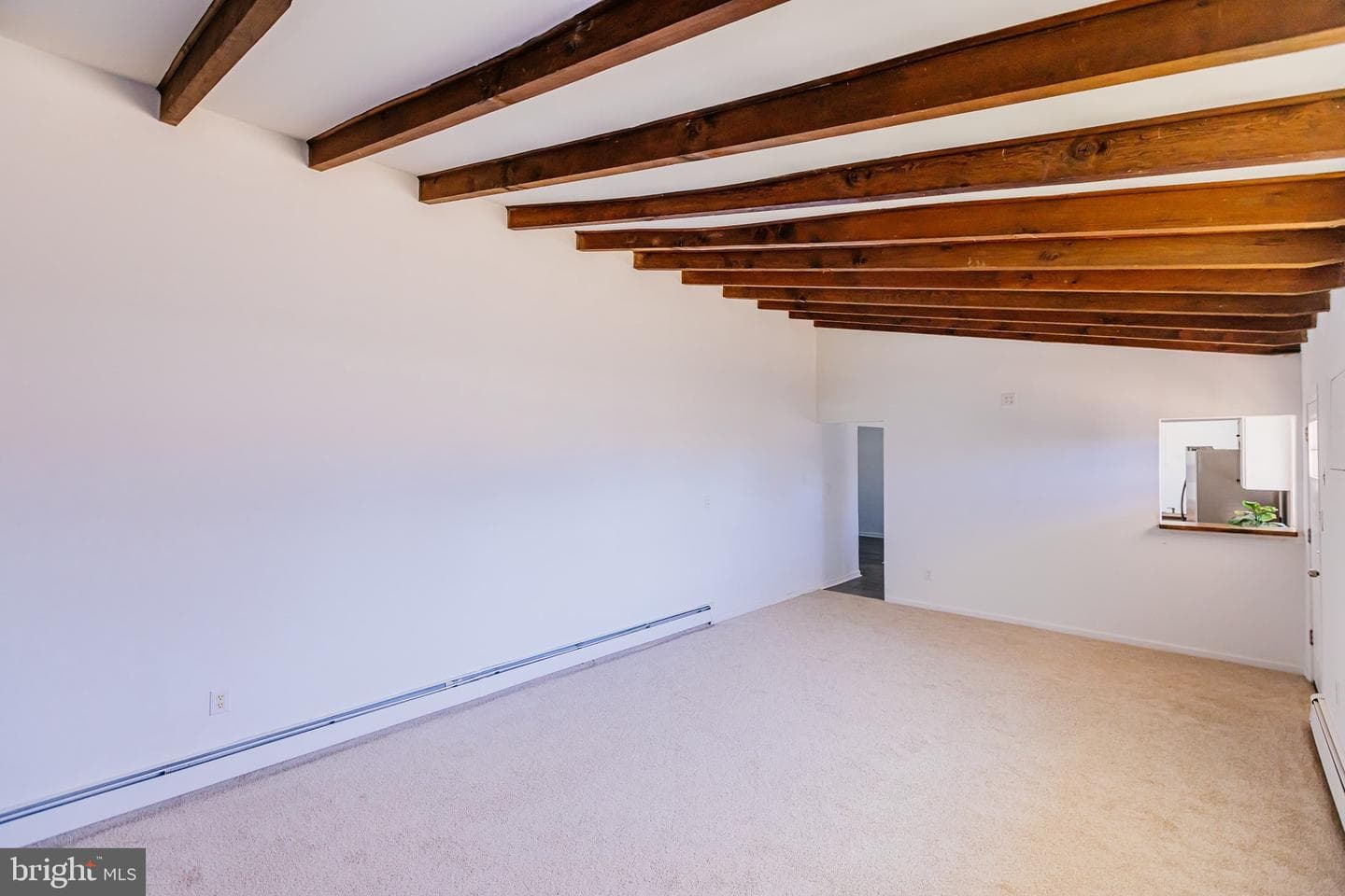 21 Velvet Lane photo 14