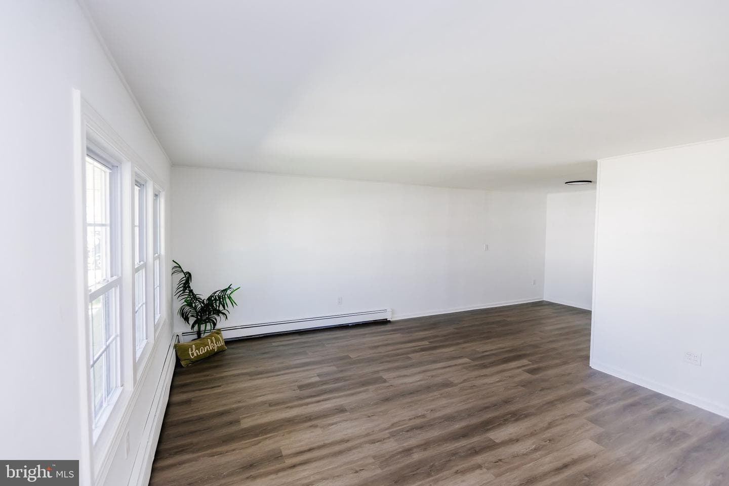 21 Velvet Lane photo 17