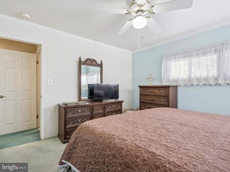 423 Magnolia Drive photo 26