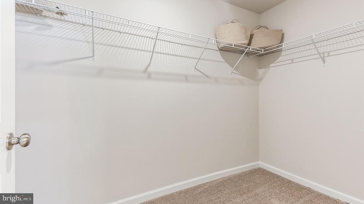 438 Liberty Trail photo 19