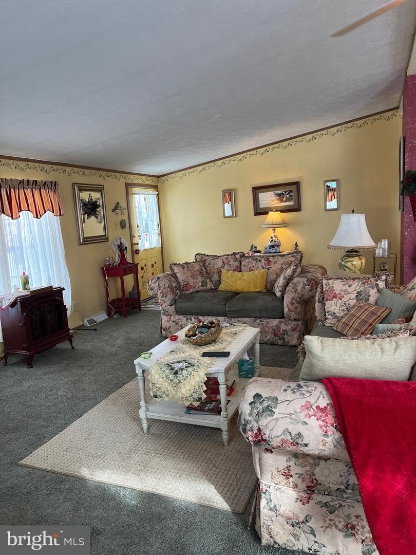 117 Conestoga Drive photo 3