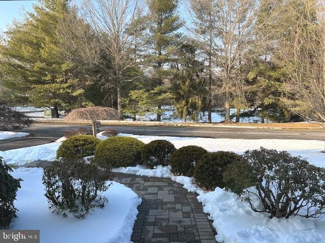 83 Rocking Horse Way photo 67
